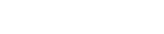 Beretta logo