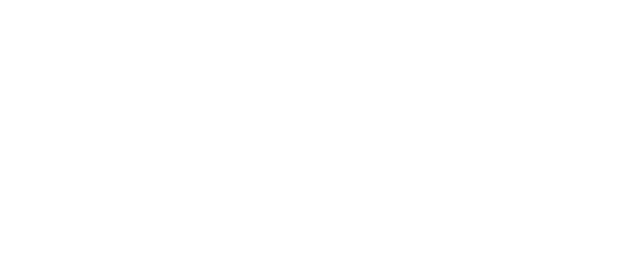 Braun logo