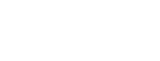 Brother USA logo