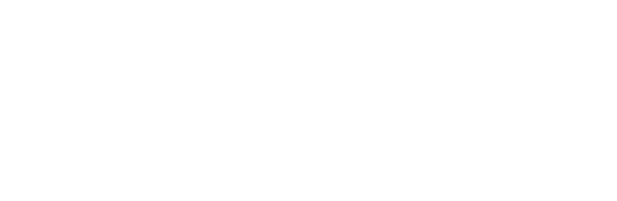 DSW logo