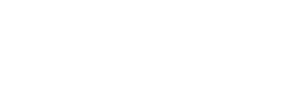 Duluth Trading Co logo