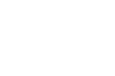Finish Line logo