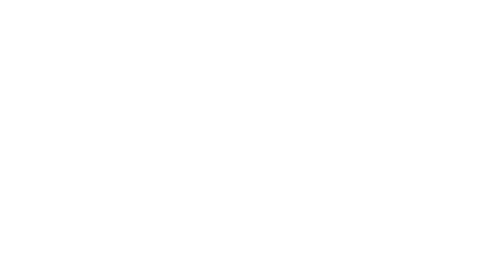 Mizuno logo