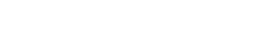 NordVPN logo